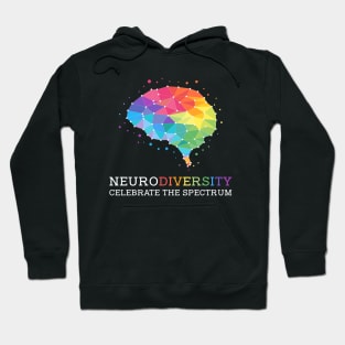 Embrace Neurodiversity Celebrate the Spectrum Hoodie